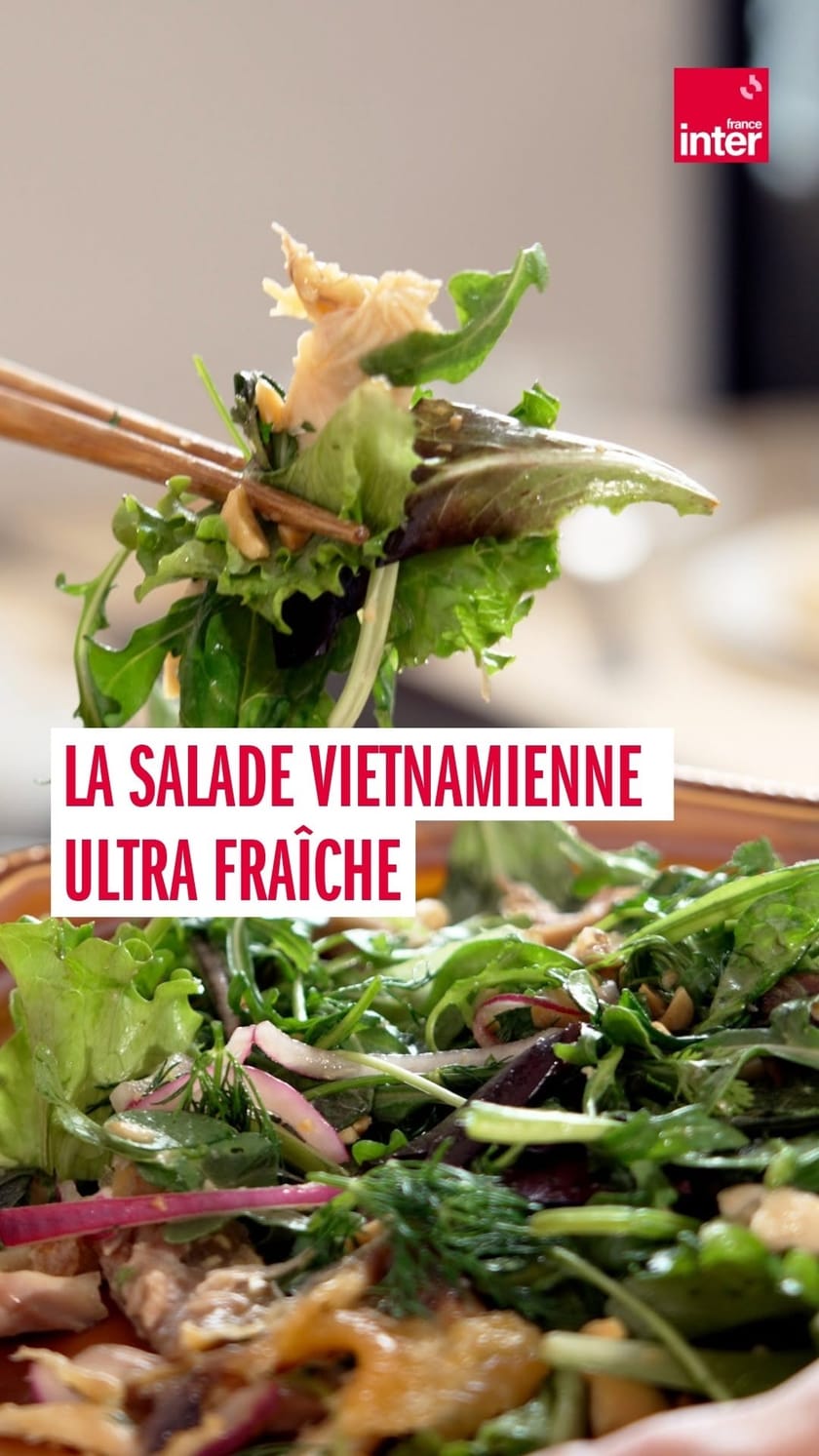 Photo du plat : Salade de Poulet à la Vietnamienne (Gỏi Gà)